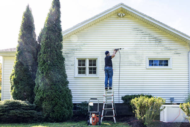 Animal Enclosure Cleaning in Chester, VA